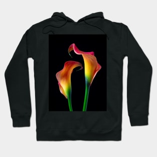 Together Two lovely Calla Lilies Hoodie